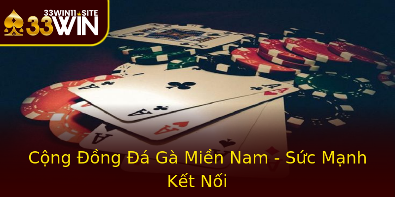 Cộng Đồng Đá Gà Miền Nam - Sức Mạnh Kết Nối Cộng Đồng Đá Gà Miền Nam - Sức Mạnh Kết Nối