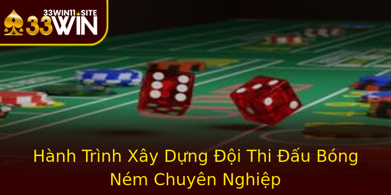 Hành Trình Xây Dựng Đội Thi Đấu Bóng Ném Chuyên Nghiệp Hành Trình Xây Dựng Đội Thi Đấu Bóng Ném Chuyên Nghiệp