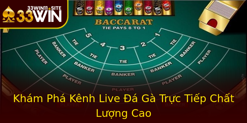 Khám Phá Kênh Live Đá Gà Trực Tiếp Chất Lượng Cao Khám Phá Kênh Live Đá Gà Trực Tiếp Chất Lượng Cao
