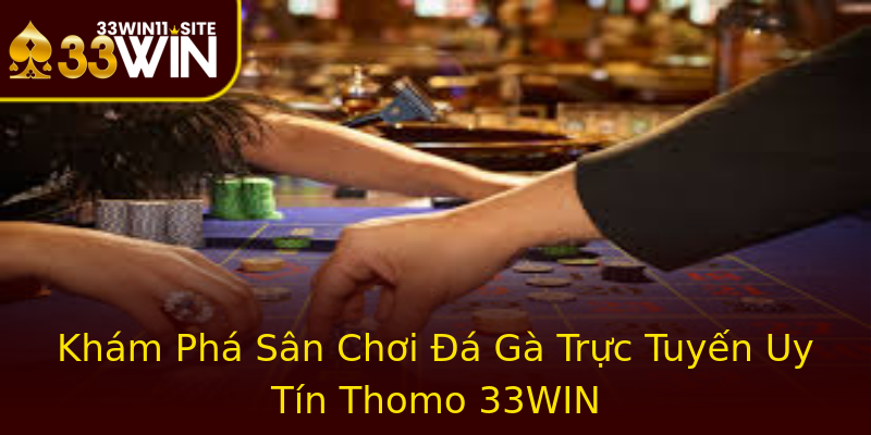 Khám Phá Sân Chơi Đá Gà Trực Tuyến Uy Tín Thomo 33WIN Khám Phá Sân Chơi Đá Gà Trực Tuyến Uy Tín Thomo 33WIN