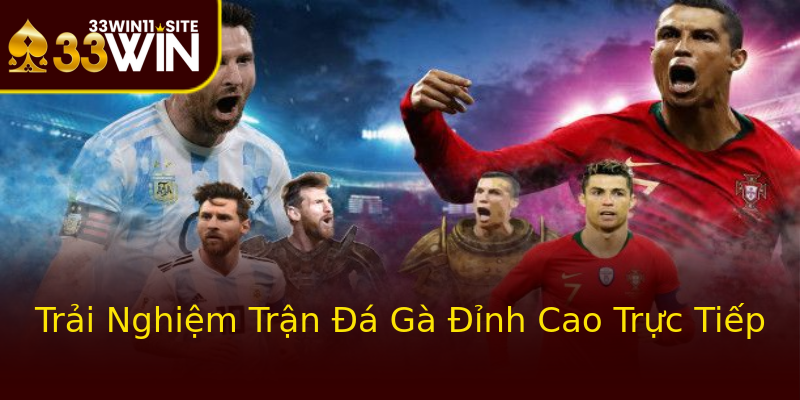 Trải Nghiệm Trận Đá Gà Đỉnh Cao Trực Tiếp Trải Nghiệm Trận Đá Gà Đỉnh Cao Trực Tiếp